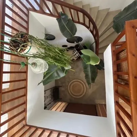Дом отдыха Casa Viva